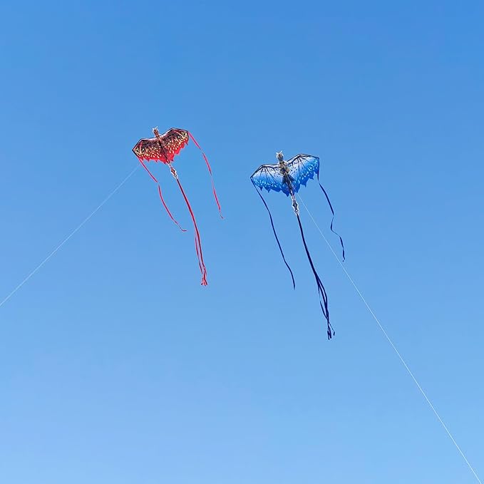 Dragon Kite for Kids & Adults - Image 6