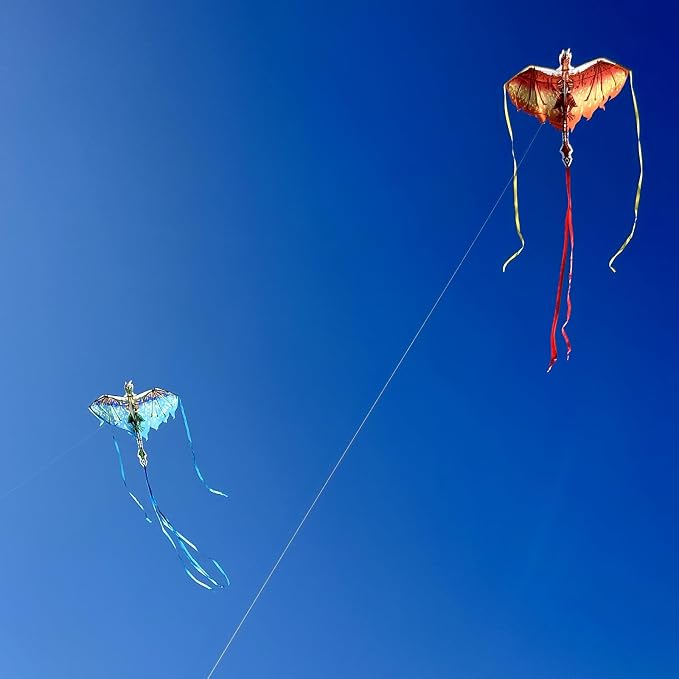 Dragon Kite for Kids & Adults - Image 7