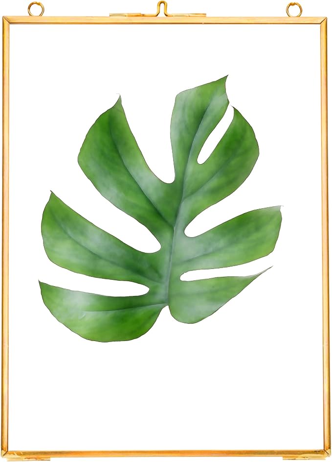 REDHUGO Hanging Pressed Flower Frames, Double Glass Floating Picture Frame - Image 9