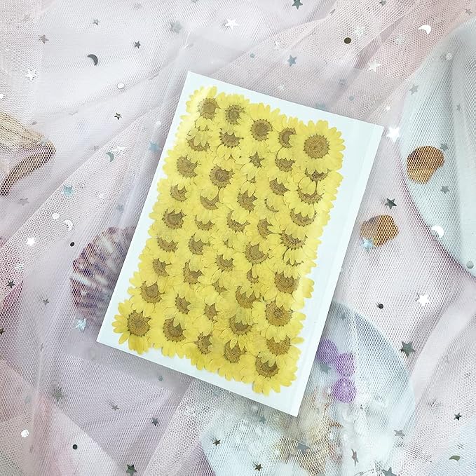 50pcs Natural Dried Daisy Flower, Vacuum Packaging, Pressed Flower - Image 5