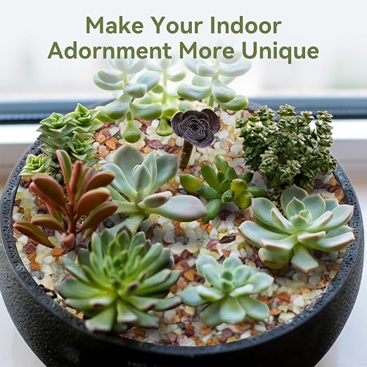 Pulovin 10 lbs Pebbles for Indoor Plants, Succulent Rocks, 3/8" Polished - Image 7