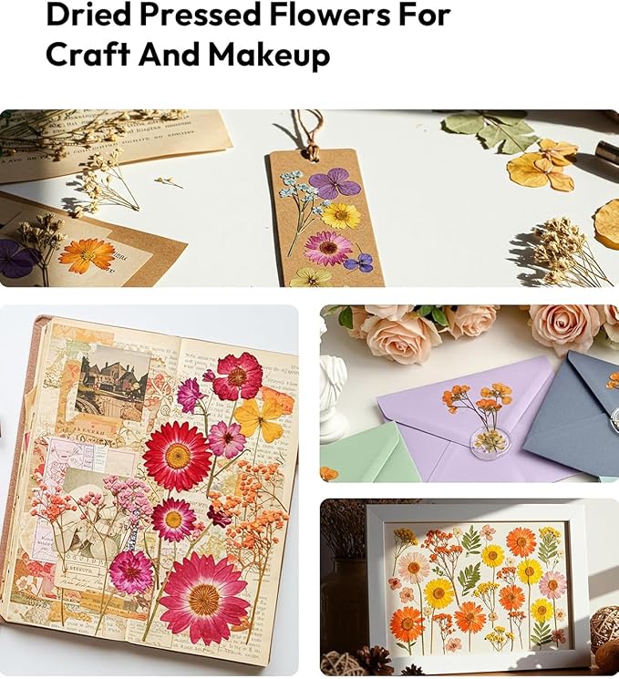 Dried Flowers, Resiners 100Pcs Pressed Flowers - Image 9