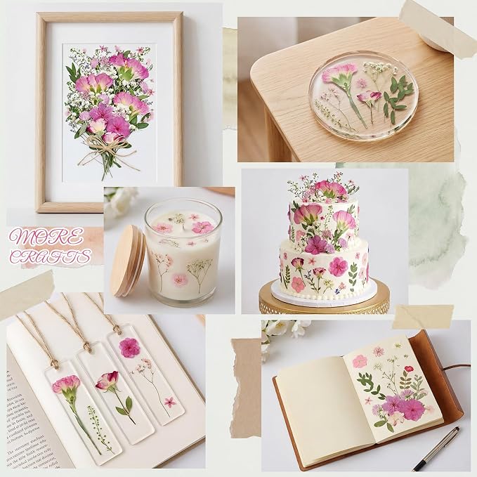 10+ Types Dried Pressed Flowers - Image 6