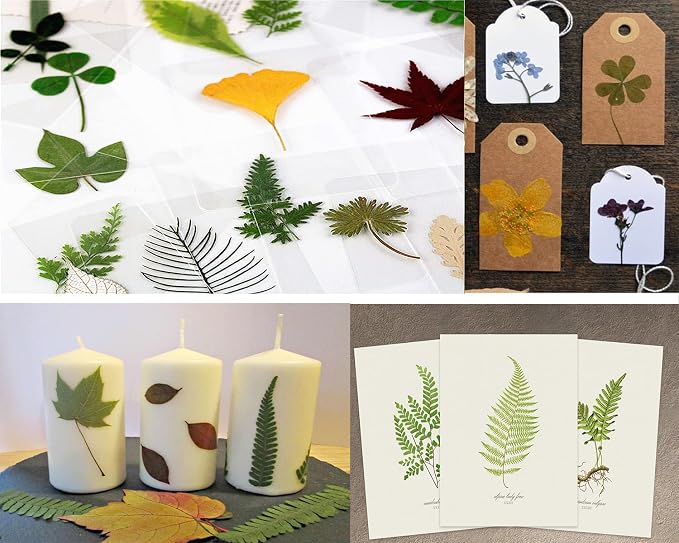 Red Dried Pressed Leaf Leaves, YouthBro 30PCS Real Nature Plant Herbarium Set - Image 4