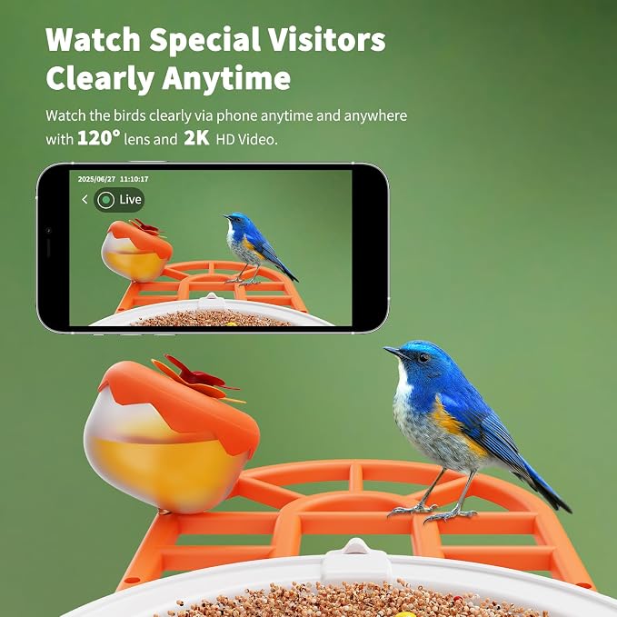 HARYMOR Bird Feeder with Camera | AI Identify Birds Species, Solar Powered - Image 6
