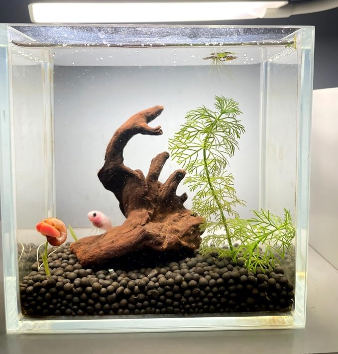 YZHZOM Small Natural Driftwood for Aquarium Styling Carefully Selected Natural - Image 7