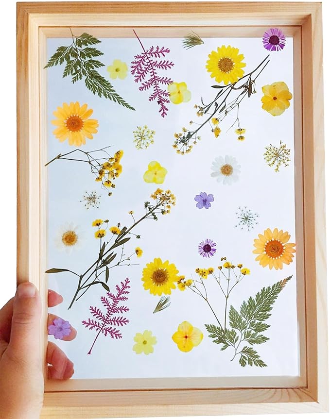 Woohome 78PCS Natural Dried Pressed Flowers and Natural Dried Pressed Leaves - Image 9