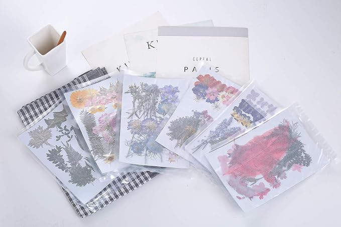 11 Types 46pcs Real Dried Pressed Flowers Leaf Plant Herbarium - Image 7