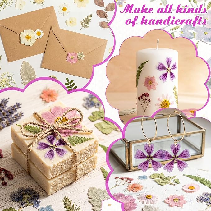 96 Pcs Natural Dried Pressed Flowers - Image 7