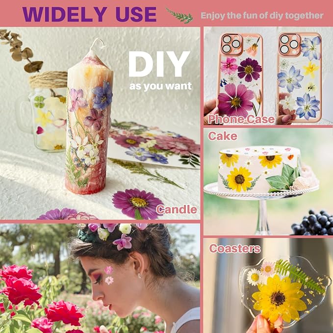 A4 Large Dried Pressed Flowers for Resin Pressed Flowers Real Dry Natural - Image 7