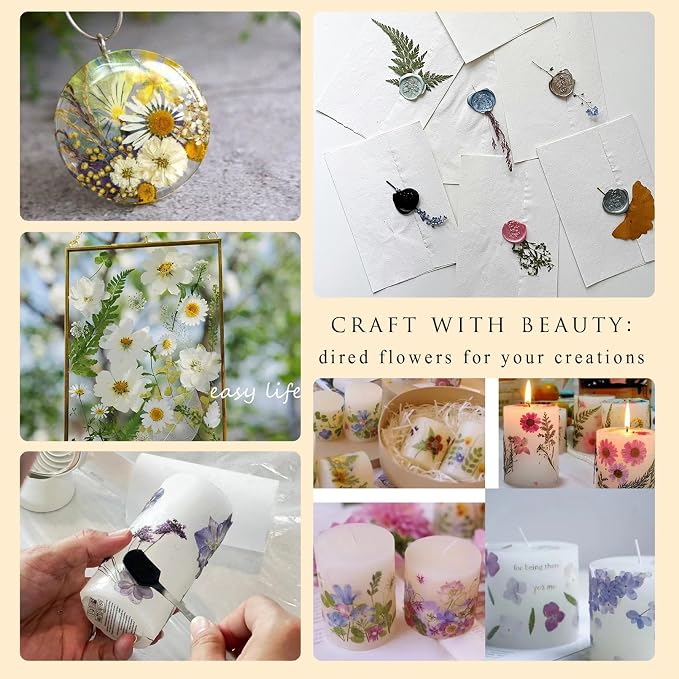 110 PCS Pressed Flowers with Twigs - Image 5