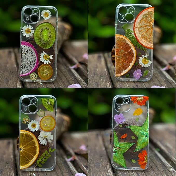 Nature Dried Pressed Fruits Flowers - Image 6
