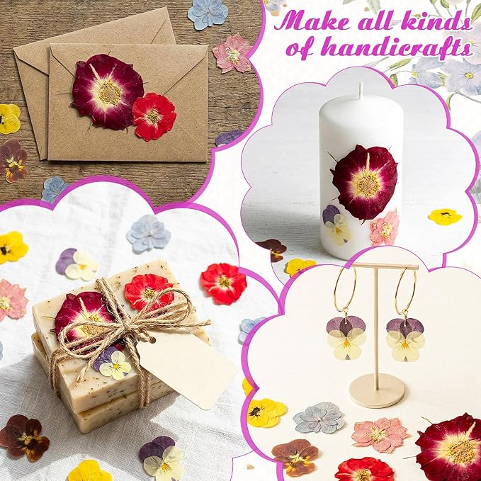 96 Pcs Natural Dried Pressed Edible Flowers - Image 7