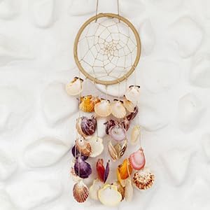 LUCKY BABY 50 PCS Natural Scallop Seashells - Image 6
