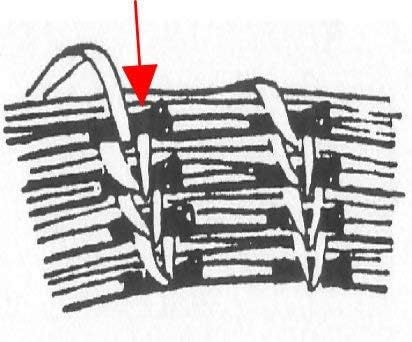 Coiled Pine Needle Basket Weaving Kit | Professional DIY Basket Making Supplies - Image 4