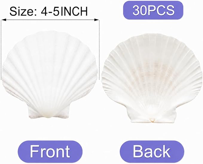 denking 30 PCS Large Scallop Shells 4-5 inch Natural White Seashells - Image 2