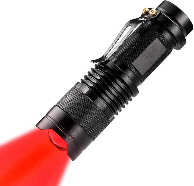 High Power 1 Mode Red LED Flashlight, Single Mode Red Flashlight, Night by Wayllshine