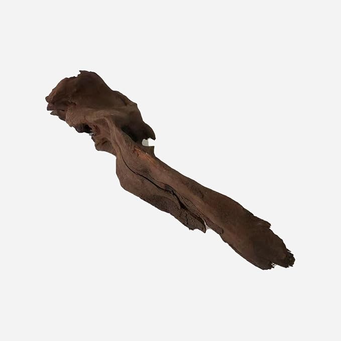 LYPHARD AQUARIUMS Natural Driftwood by LYPHARDAQUARIUMS