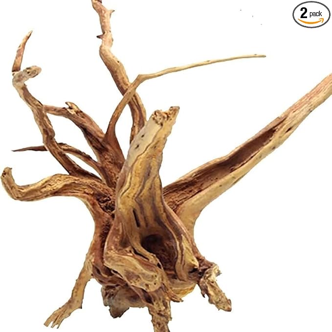 Jorewood Natural Large Spiderwood Driftwood by JOREWOOD