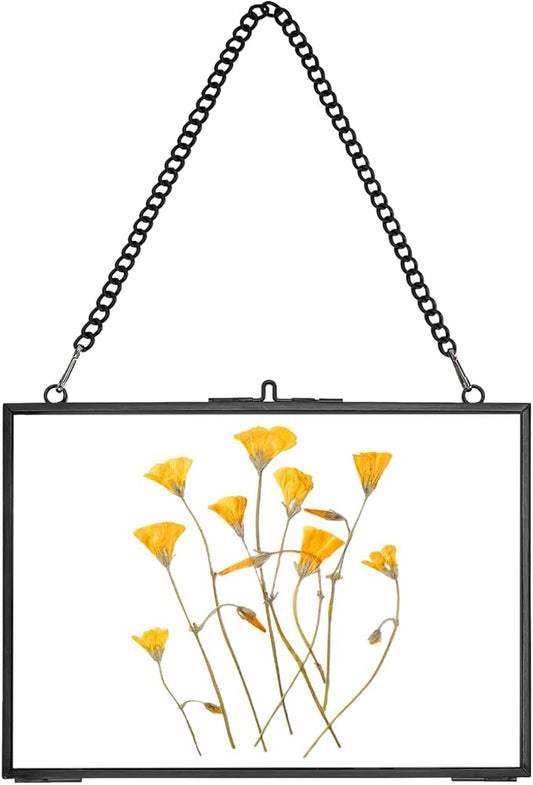 REDHUGO Hanging Pressed Flower Frame Handmade, Double Glass Picture Frame by REDHUGO