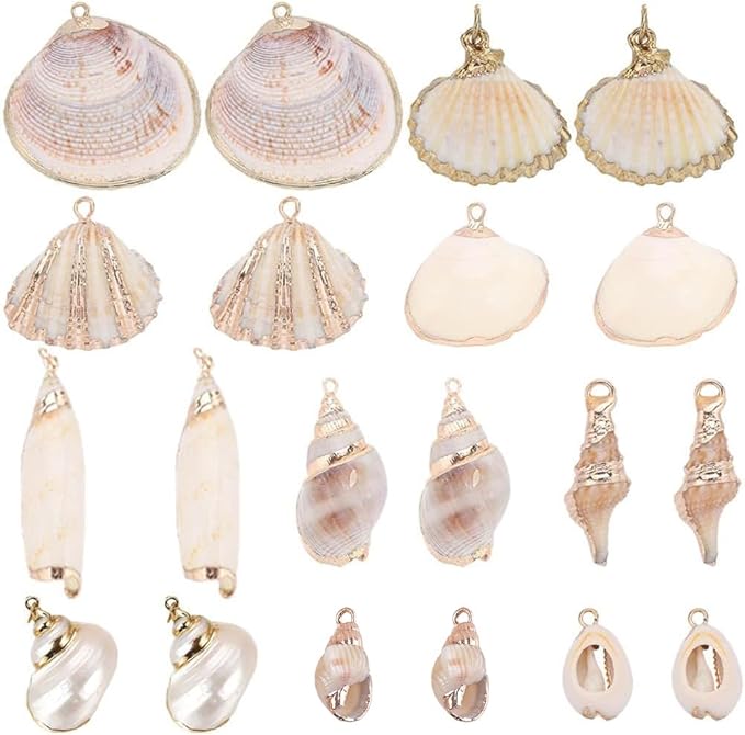 SUNNYCLUE 1 Box 20Pcs 10 Styles Seashell Charms Bulk Sea Shell Charms Large by SUNNYCLUE