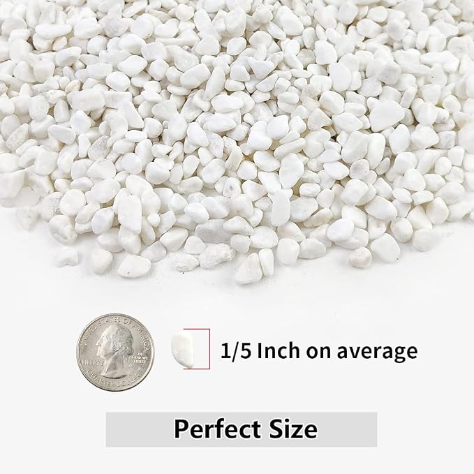YISZM 2LB Succulent and Cactus Gravel Pebbles, 1/5 Inch White Natural - Image 2