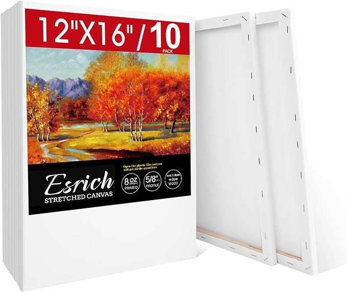 ESRICH Stretched Canvas for Painting 12x16 Inch, 10 Pack Blank Canvas -5/8 in by ESRICH