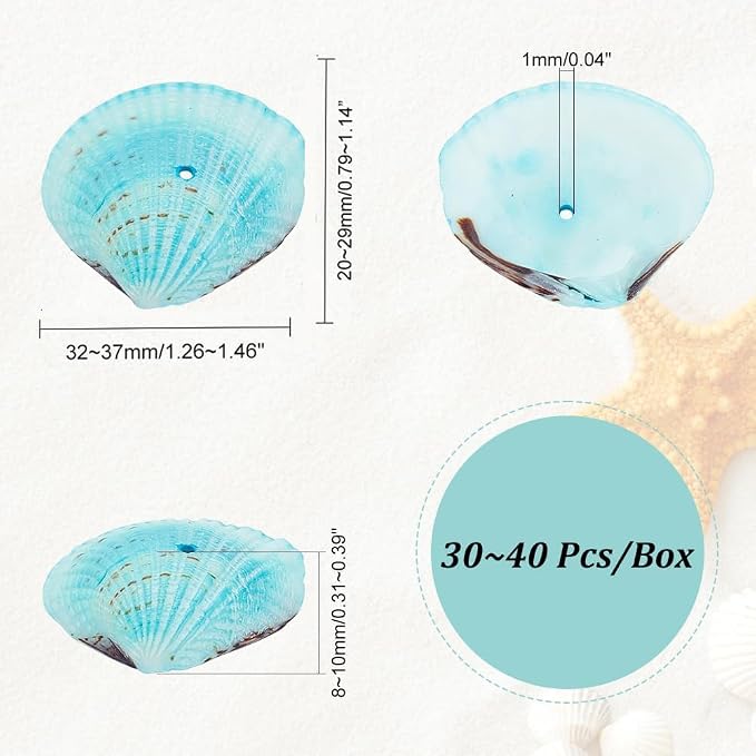 PH PandaHall Tiny Scallop Sea Shells, 35-40Pcs Natural Seashell | 1mm Hole - Image 2