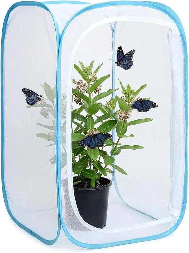Insect & Butterfly Habitat Cage, Portable Pop-Up Terrarium - Image 7
