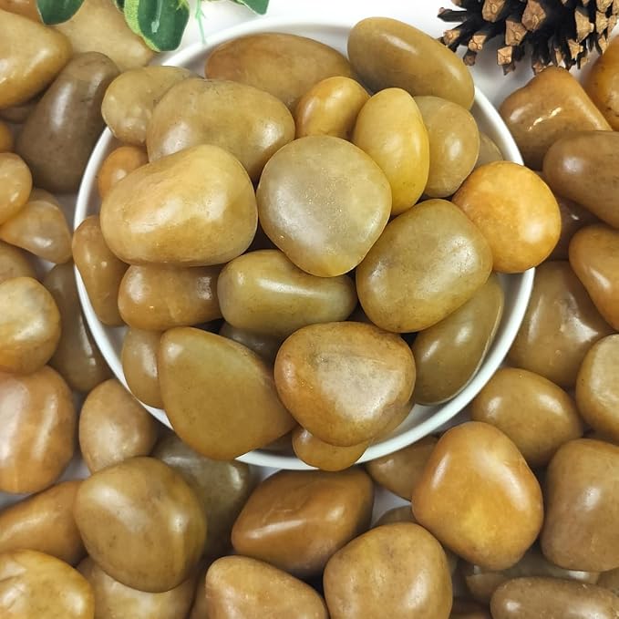 YISZM Rocks for Plant 5lbs, High Polished Decorative Stones Vase Filler Fish by YISZM-ForYourNaturalLife