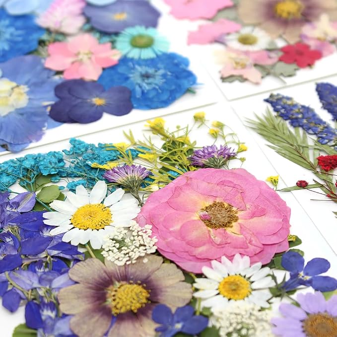 80Pcs Dried Pressed Flowers, Natural Pressed Flowers - Image 4