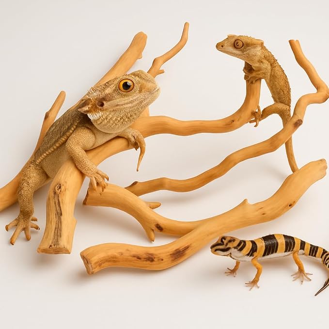Azil Natural Driftwood Root Mix – 100% Natural Driftwood - Image 5