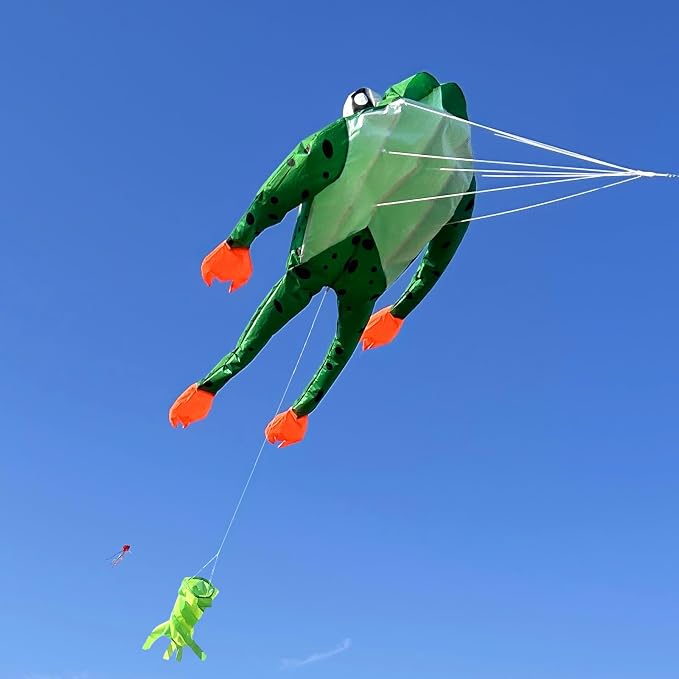 HENGDA KITE 3D Frog Kite for Kids and Adults, Excellent Fabric and Structure - Image 3