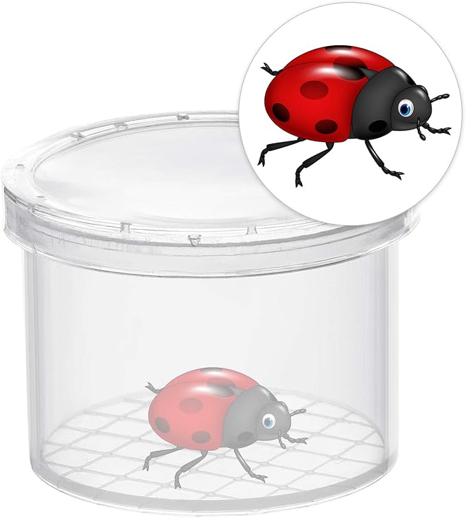Coopay 80 Pieces Bug Viewer Critter Insect Cage Magnifying Insect Box Bug - Image 2