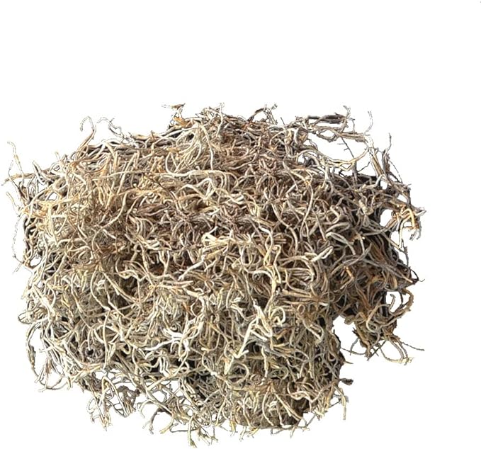 Mosser Lee ML0560 Spanish Moss, 250 Cubic Inches - Image 3