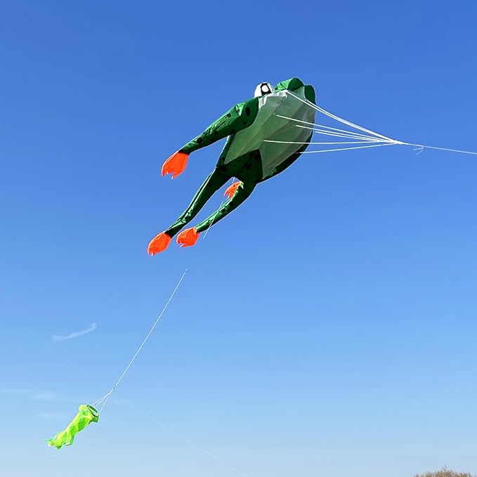 HENGDA KITE 3D Frog Kite for Kids and Adults, Excellent Fabric and Structure - Image 6