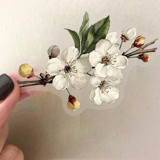 50Pcs White Flower Stickers Transparent Aesthetic Flowers Stickers - Image 5
