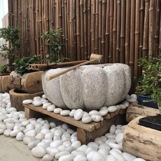 YISZM 20lbs White River Rocks for Landscaping, 2-3 Inch Natural Pebbles for - Image 3