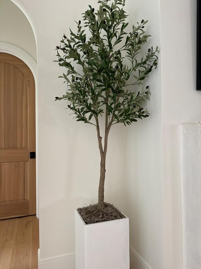 Mosser Lee Spanish Moss – Natural Decorative Moss - Image 6