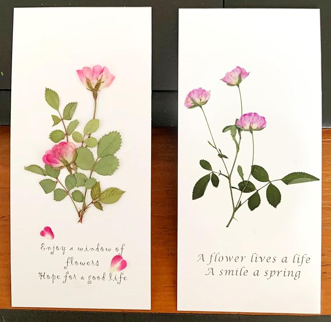 8 Types Real Dried Pressed Rose Flowers Plant Herbarium - Image 6