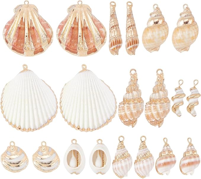SUNNYCLUE 1 Box 20Pcs 10 Styles Sea Shell Charms Bulk Seashell Charms Natural by SUNNYCLUE