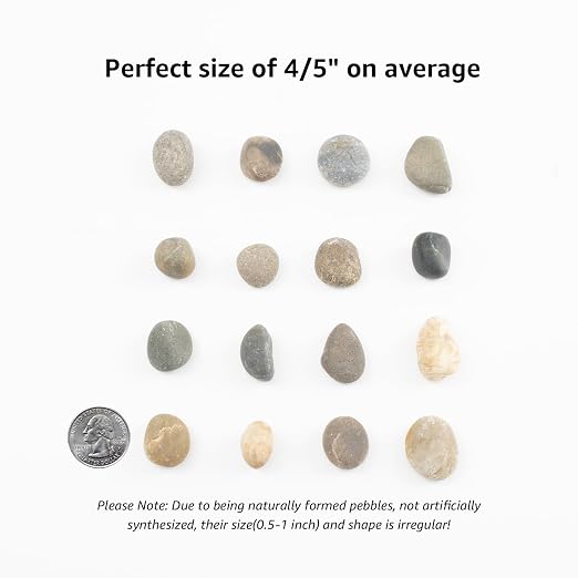 20 LBS Natural River Rocks - Image 2