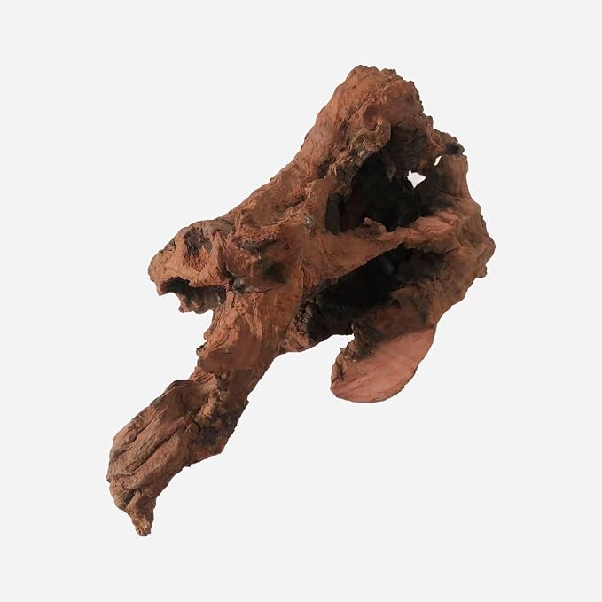 LYPHARD AQUARIUMS Natural Driftwood - Image 4