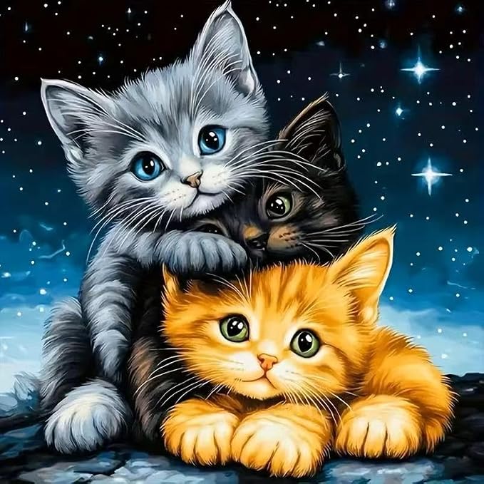 OJTOYART Starry Cat Diamond Art Kits by Unknown