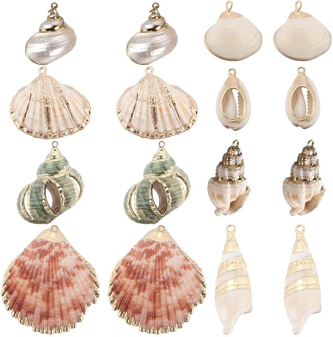 SUNNYCLUE 1 Box 16Pcs 8 Styles Natural Shell Charms Bulk Seashell Charm Summer by SUNNYCLUE