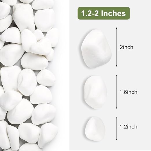 SIDONG 5 lbs White River Rocks, 1.2-2 Inches Pebbles - Image 2
