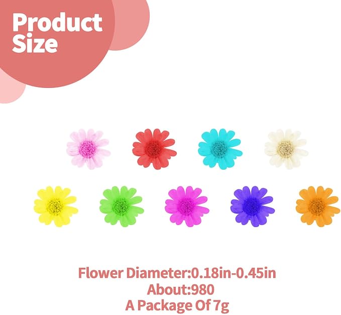 1000 PCS Mini Dried Flowers for Resin, Small Dried Flowers for Crafts, - Image 2