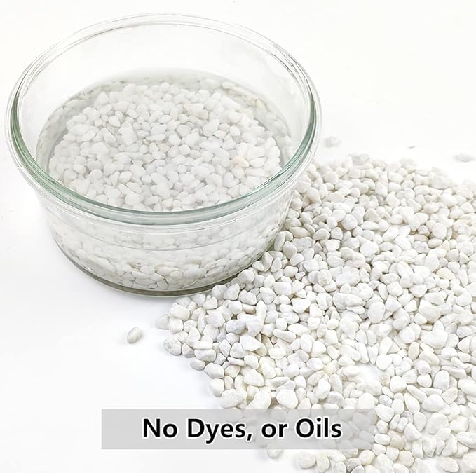 YISZM 10LB Succulent and Cactus Gravel, 1/5 Inch White Natural Decorative - Image 3
