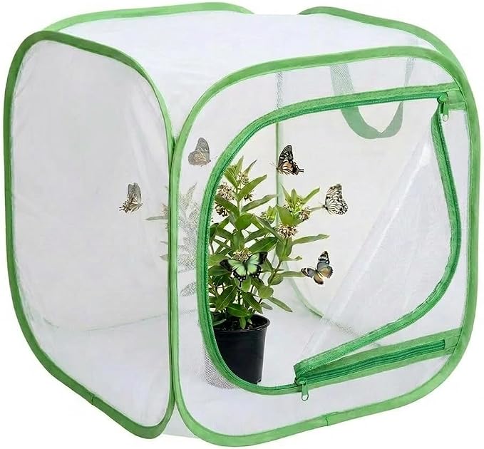 Insect & Butterfly Habitat Cage, Portable Pop-Up Terrarium by Unknown