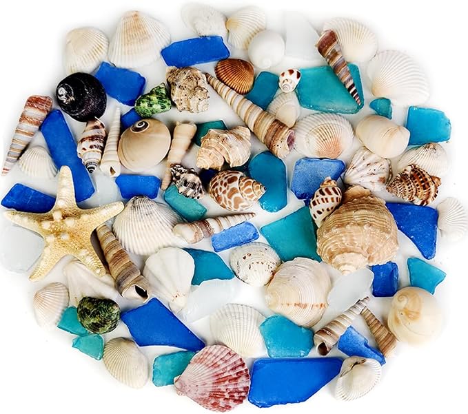 Natural Mixed Seashells Conch Starfish Sea Glass 1-2.8 Inch, 16.5 OZ | Bulk by HappyFiller